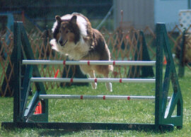 Katie jumping at age 10