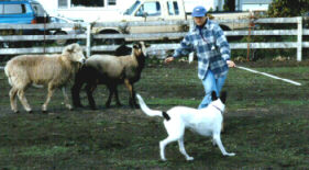 Lady earning her HCT